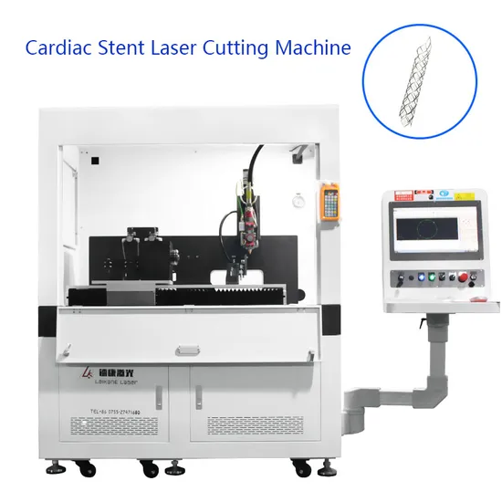 Ss/Brass/Copper Mini Small Medical Tube Laser Micromaching Machine for Drilling Hole